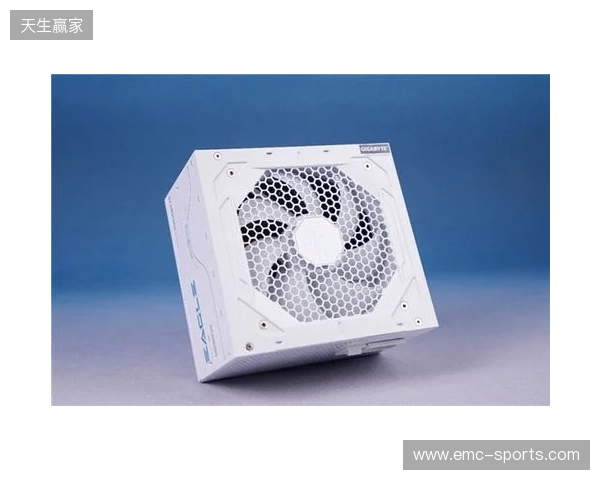 黑白双鹰，白金降临：技嘉猎鹰 冰猎鹰白金电源4月27日开售